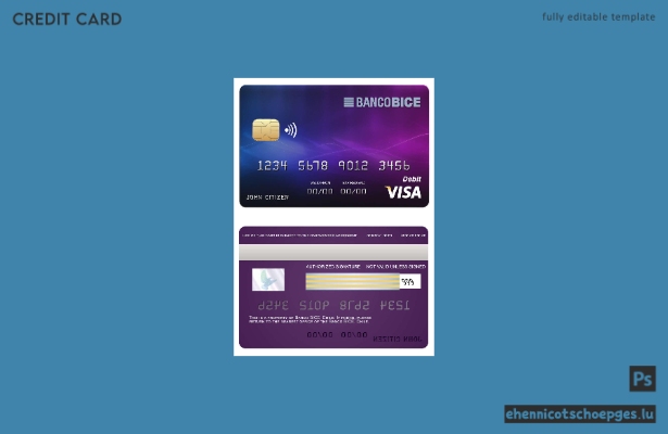 Beispielvorschau der BICE Bank Visa-Karte aus Chile